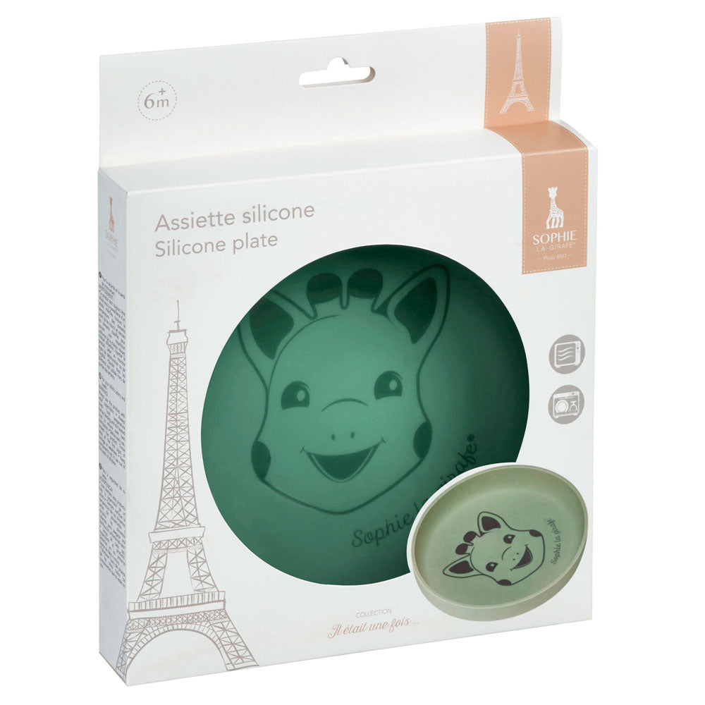 Silicone dish