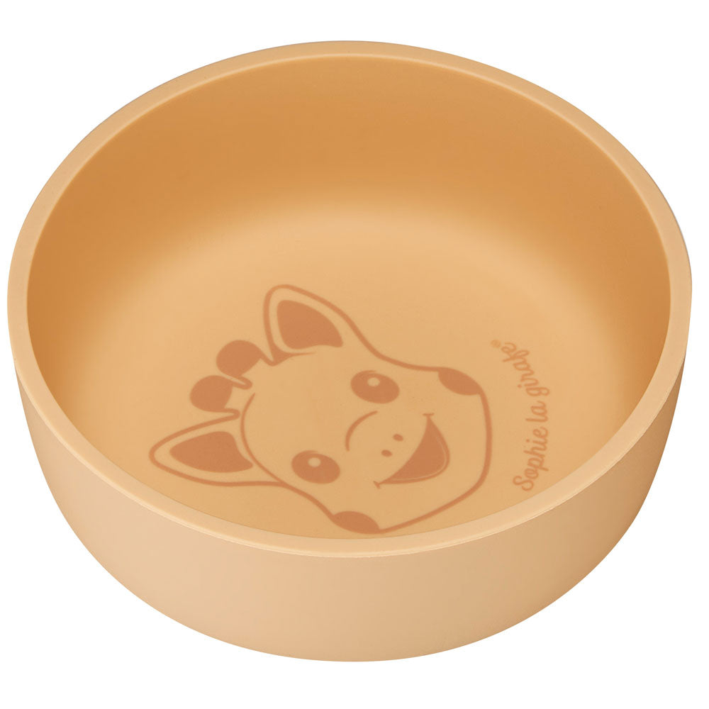 Silicone bowl
