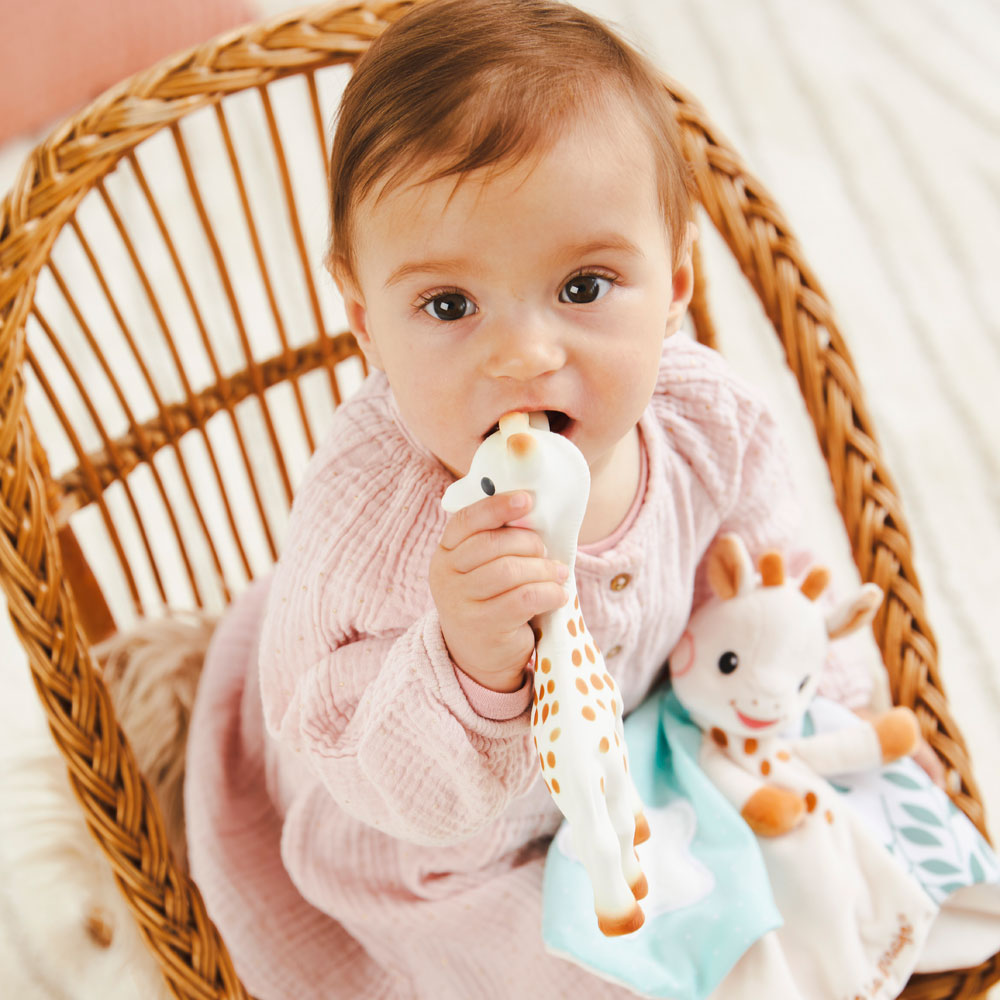 Sophie and comforter gift set
